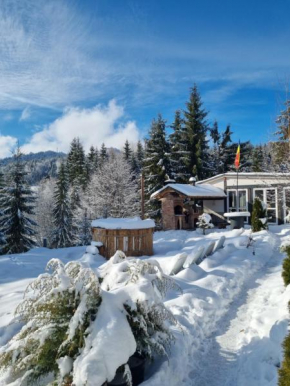 Cabana Căsaru